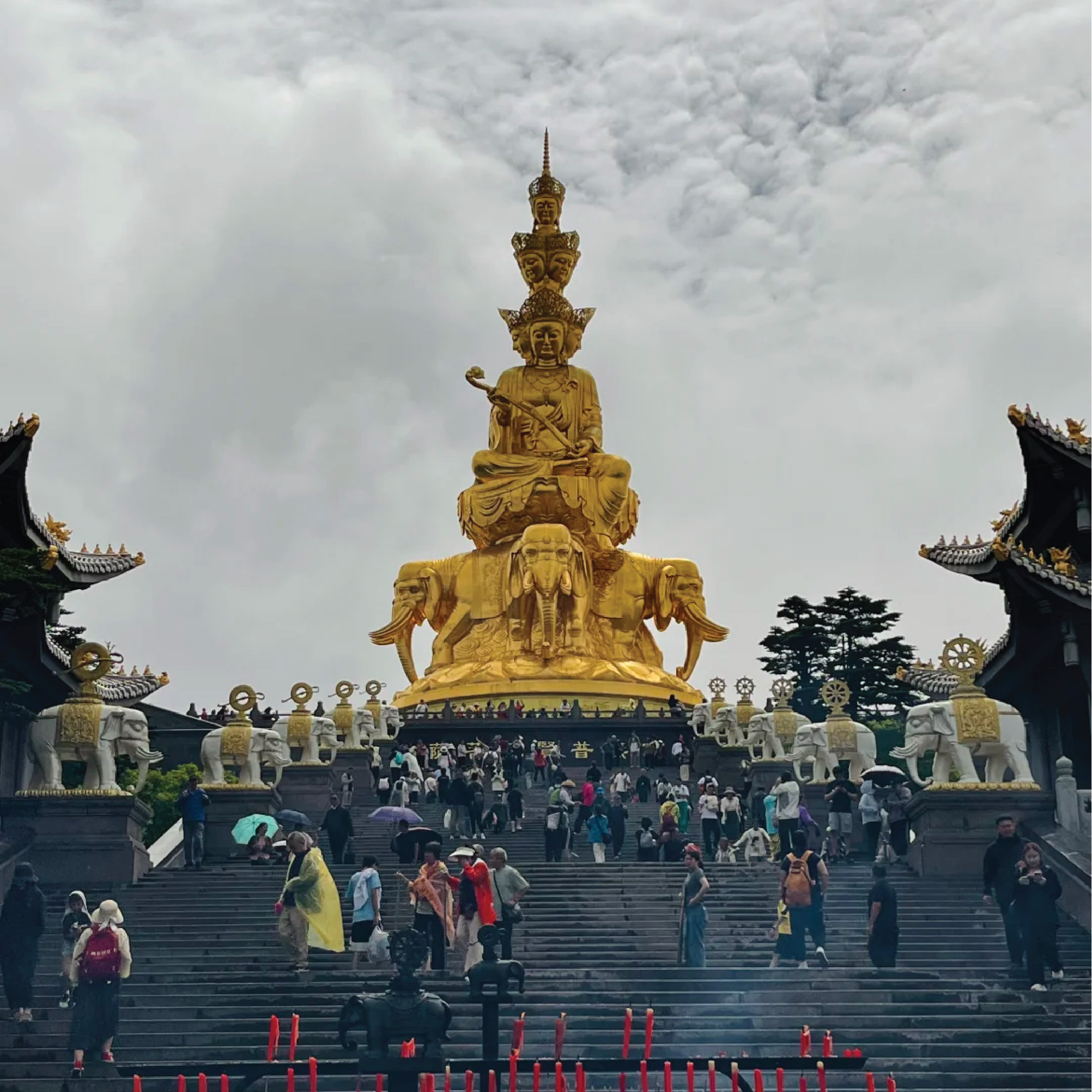 九寨沟web-06